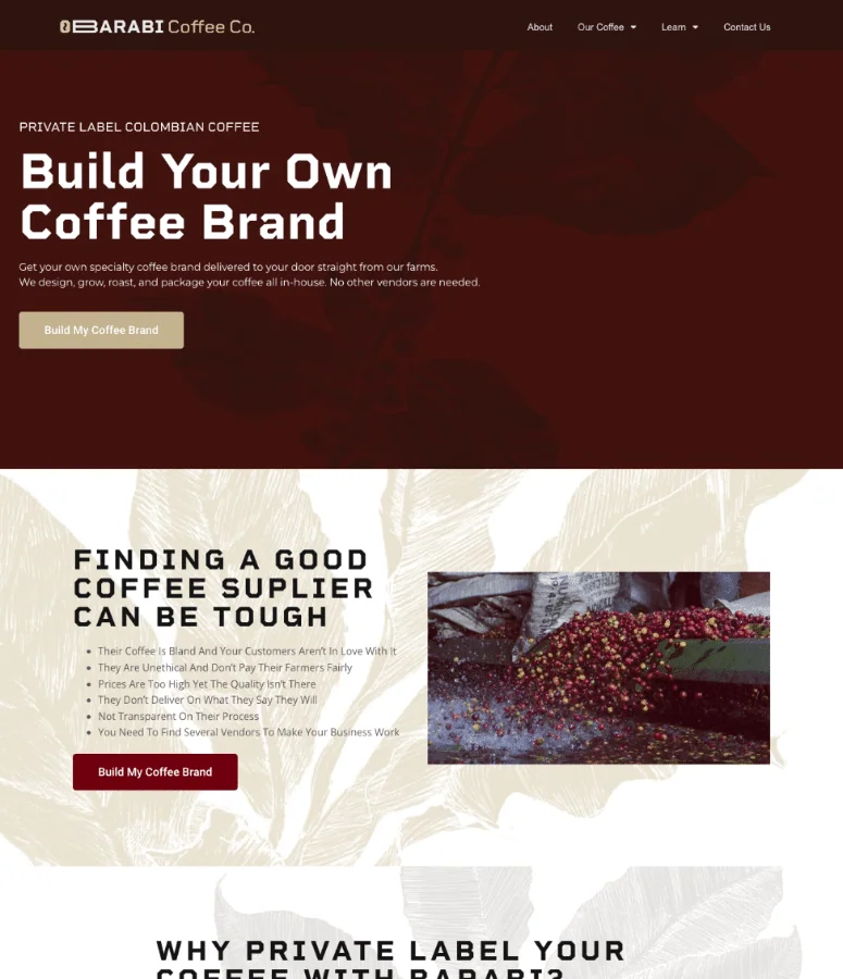 Web Design Mockups-1-Barabi